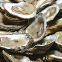 Local oysters will put you in a Valentine's mood. Local oysters will put you in a Valentine's mood.