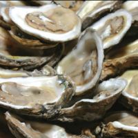 Local oysters will put you in a Valentine's mood.