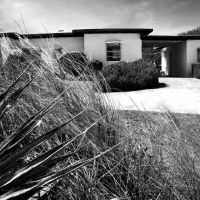 See MHS student photos at Glenn Eure's Gallery this month. See MHS student photos at Glenn Eure's Gallery this month.