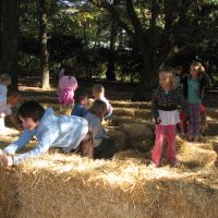 Elizabethan Gardens' super-fun Harvest Hay Day is Saturday Elizabethan Gardens' super-fun Harvest Hay Day is Saturday