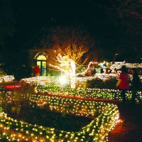 Be sure to see Winter Lights at Elizabethan Gardens on Thurs