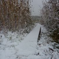 A little dusting of snow made the Banks more beautiful. A little dusting of snow made the Banks more beautiful.