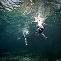 See Chris Hannant's underwater photos at Festival Park.