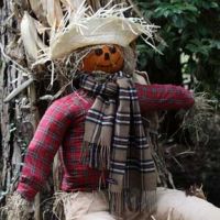 Fall for fun activities at Elizabethan Gardens on Sat. Fall for fun activities at Elizabethan Gardens on Sat.