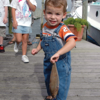 Day at the Docks Day at the Docks