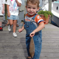 Day at the Docks