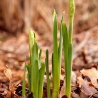 Spring is on its way! Spring is on its way!