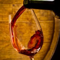 Don't worry, be happy! Go to Wine Camp! Don't worry, be happy! Go to Wine Camp!