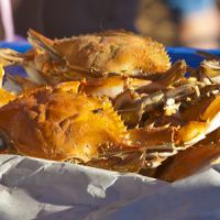 Taste the local catch at the Outer Banks Seafood Festival.