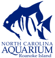 North Carolina Aquarium on Roanoke Island