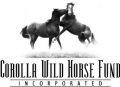 Corolla Wild Horse Fund Corolla Wild Horse Fund