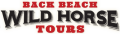 Back Beach Wild Horse Tours Corolla NC Back Beach Wild Horse Tours Corolla NC
