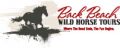 Back Beach Wild Horse Tours Back Beach Wild Horse Tours