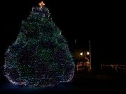 Christmas Tree Lighting
