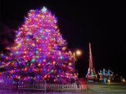 Christmas Tree Lighting
