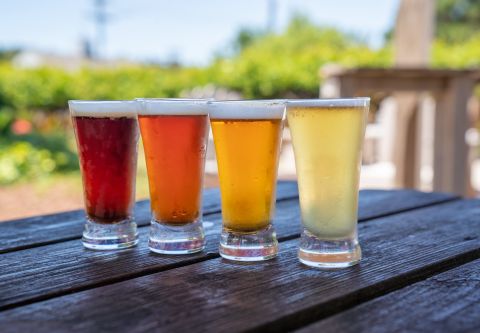 Brewery Tours & Beer Tastings