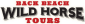 Back Beach Wild Horse Tours
