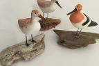 SeaDragon Gallery in Duck NC, Handcarved Shorebird