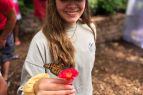 Elizabethan Gardens, Butterfly House Release