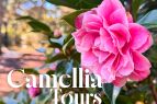 Elizabethan Gardens, Camellia Tours