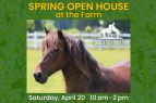 Corolla Wild Horse Fund, Spring Open House