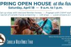 Corolla Wild Horse Fund, Spring Open House at the Farm