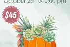 Elizabethan Gardens, Succulent Pumpkin Centerpiece Workshop