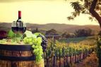 TRiO Restaurant & Market, The Wines of Northern Italy