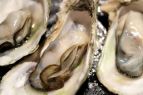 Outland Seafood, Oysters