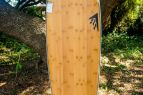 Outer Banks Boarding Company, Firewire Surfboards