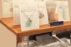 Askins Creek Store — The Avon BP, Ocean Days Sea Glass Jewelry