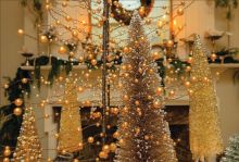 Edenton Christmas Candlelight Tour 2022 Christmas In Edenton