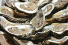 Local oysters will put you in a Valentine's mood.