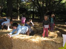 Elizabethan Gardens' super-fun Harvest Hay Day is Saturday