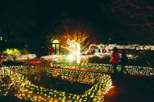 Be sure to see Winter Lights at Elizabethan Gardens on Thurs