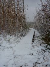 A little dusting of snow made the Banks more beautiful.