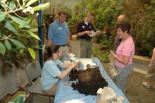 Celebrate Earth Day with activities at the Aquarium on Fri.