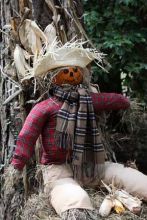 Fall for fun activities at Elizabethan Gardens on Sat. Fall for fun activities at Elizabethan Gardens on Sat.
