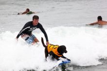 This surfing dog isn't the only one on the waves this week.
