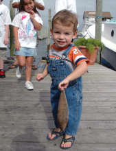 Day at the Docks Day at the Docks