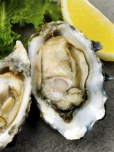 28th Stumpy Point Oyster Feast