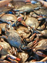 Blue crab is the star of the Blue Crab Kayak and Cook Tour.