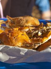 Taste the local catch at the Outer Banks Seafood Festival.