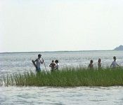 North Carolina Aquarium on Roanoke Island, Wetlands Walk