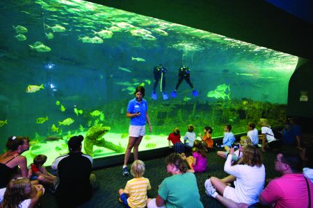 North Carolina Aquarium on Roanoke Island, Aqua Tots