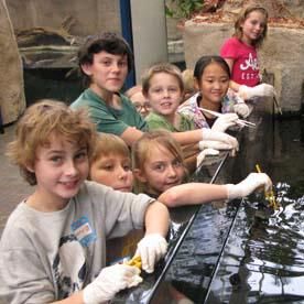 North Carolina Aquarium on Roanoke Island, Aquarist for a Day