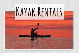 Hatteras Island Boardsports, TAKE A KAYAK CRUISE ON YOUR OWN TIME