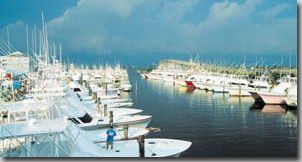 Pirate's Cove Marina, Stock Up on Provisions