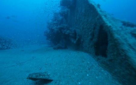 Graveyard of the Atlantic Museum, Salty Dawgs Lecture Series: Outer Banks Shipwreck Diving