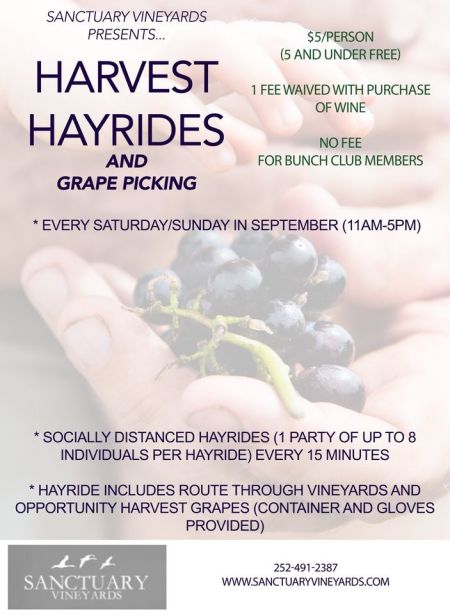 Sanctuary Vineyards, Harvest Hayrides & Grape Picking